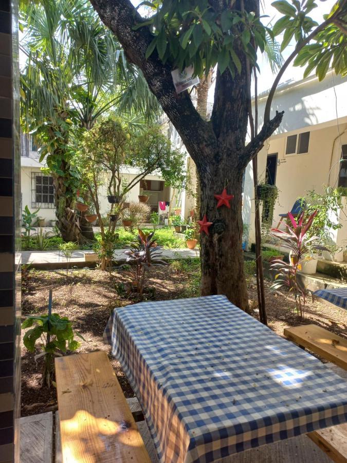 Bea Rooms And Studios Cozumel Bagian luar foto