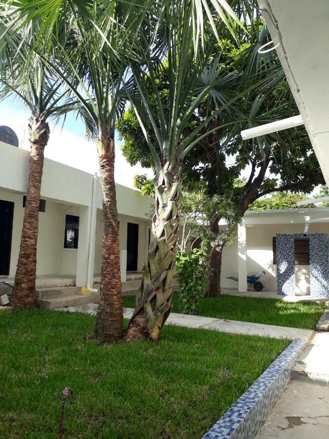 Bea Rooms And Studios Cozumel Bagian luar foto